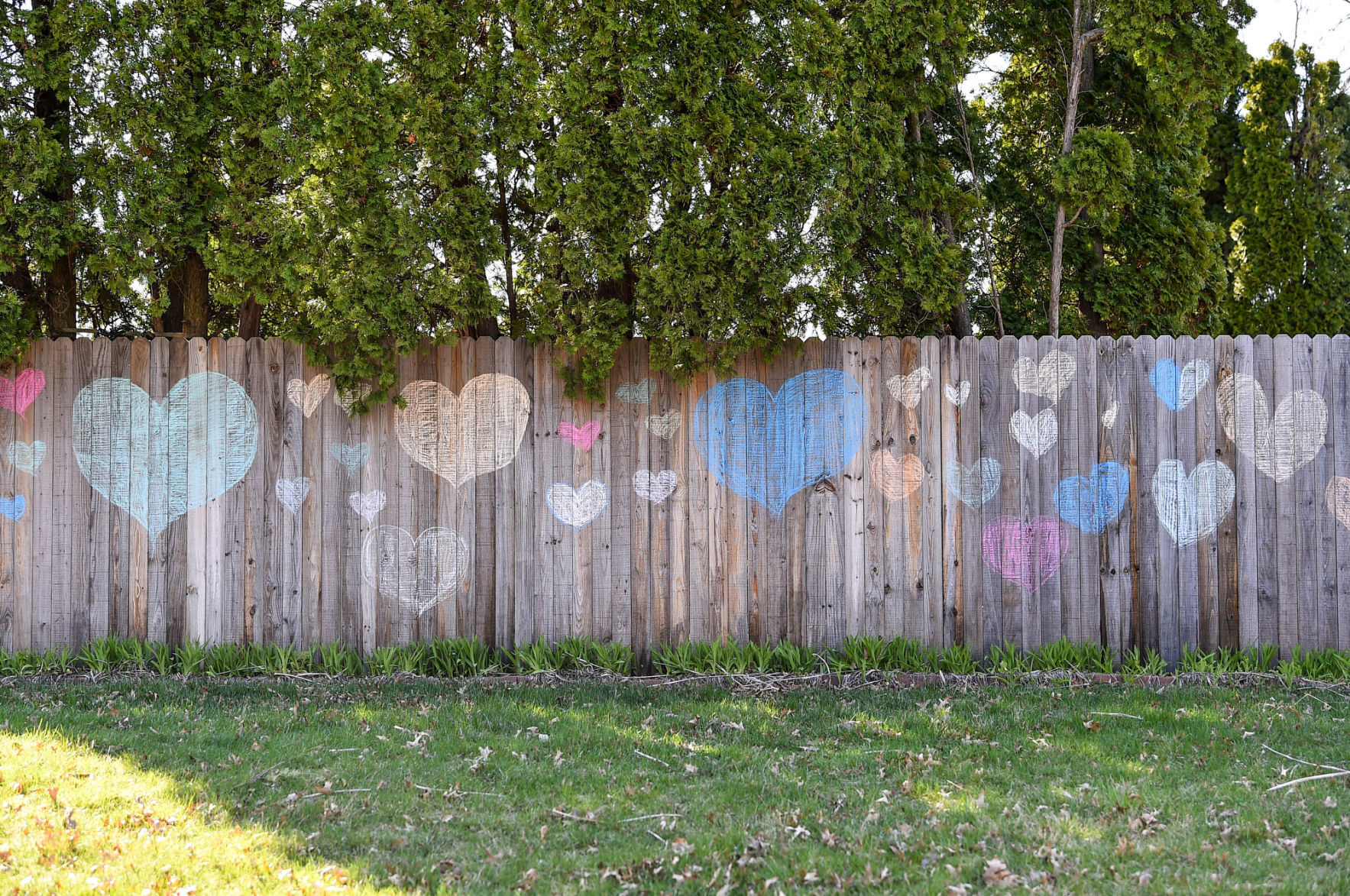 040620-qc-nws-hearts-003